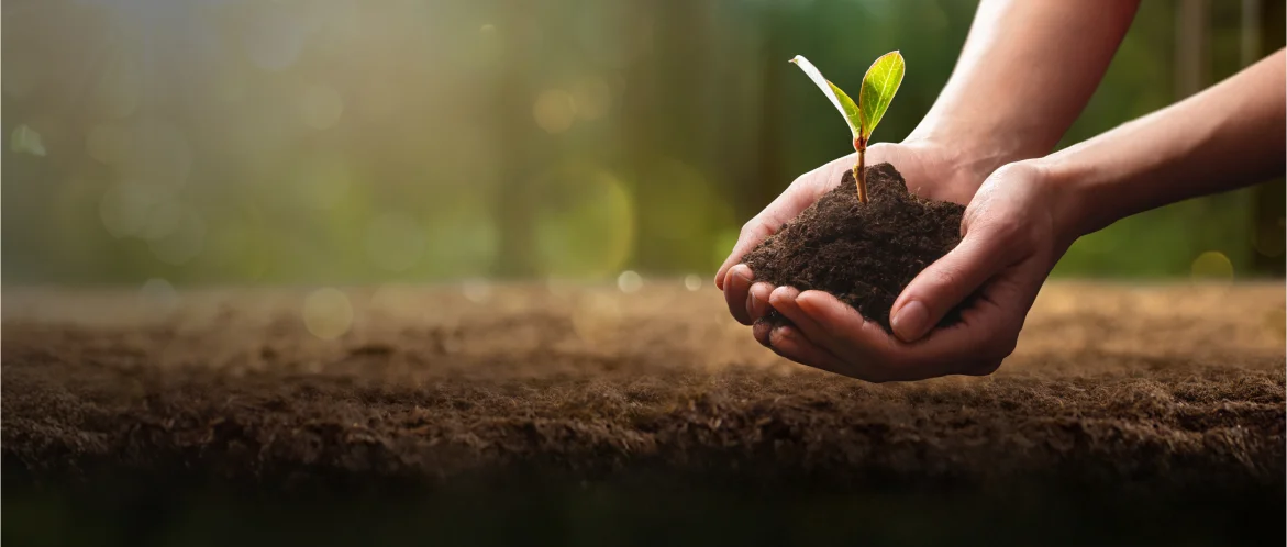 ARS CSR purpose and community responsibility